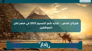 هنرتاح خلاص.. إجازة شم النسيم 2025 في مصر لكل الموظفين